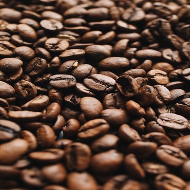 Premium Coffee Beans Nepal